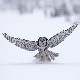 p�jaro de invierno